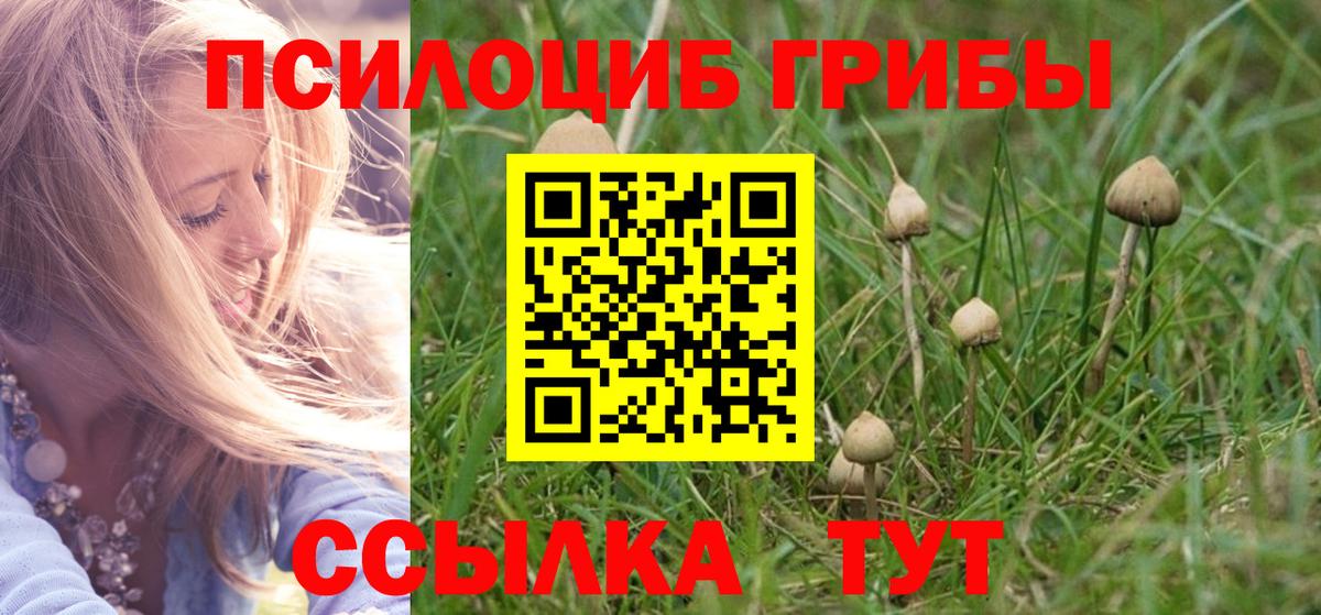 Омск  Псилоцибиновые грибы Cubensis  Вход с VPN  Галлюциногенные грибы мицелий 